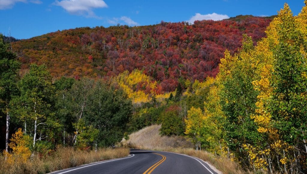 Aspen Colorado Fall