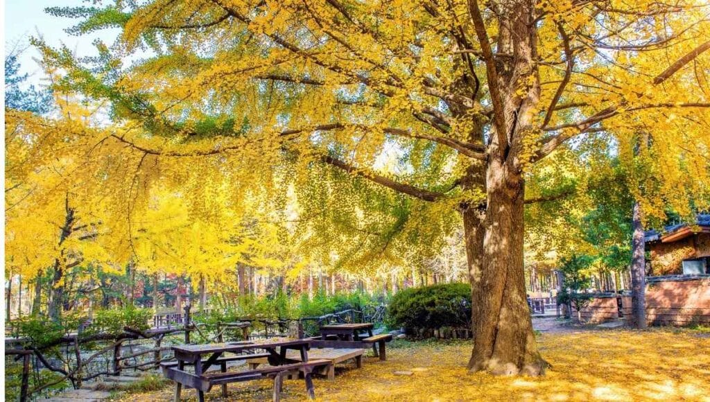 Best Places to Travel in November