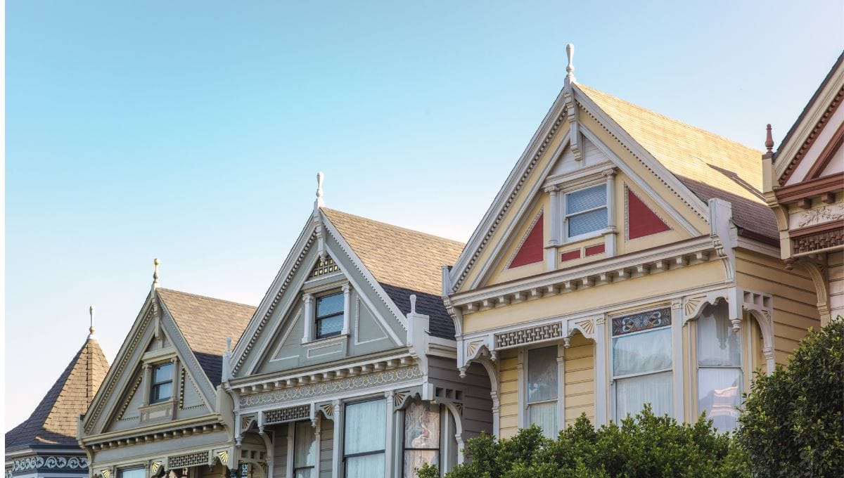 The Painted Ladies 