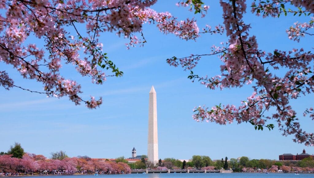 Washington D.C.