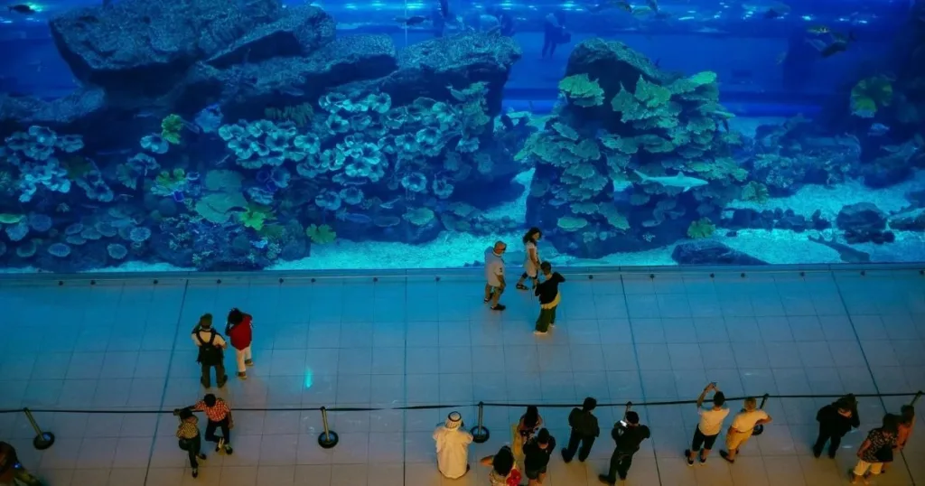 Things to See in SeaWorld Abu Dhabi