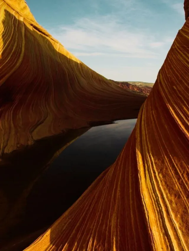 Arizona