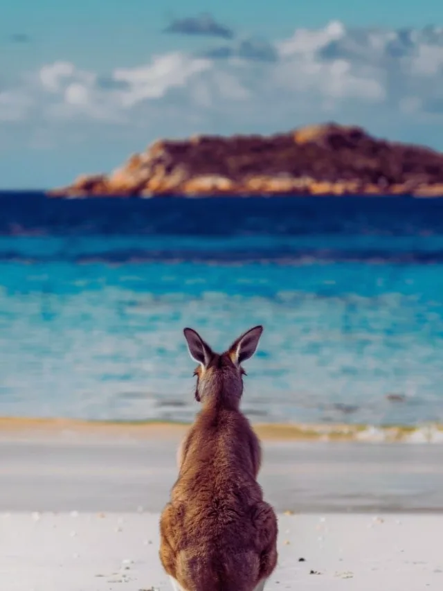 AUSTRALIA