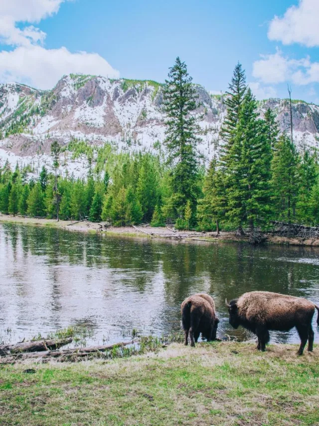 Wyoming