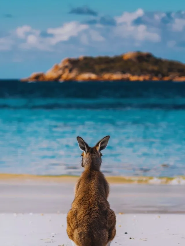 Australia